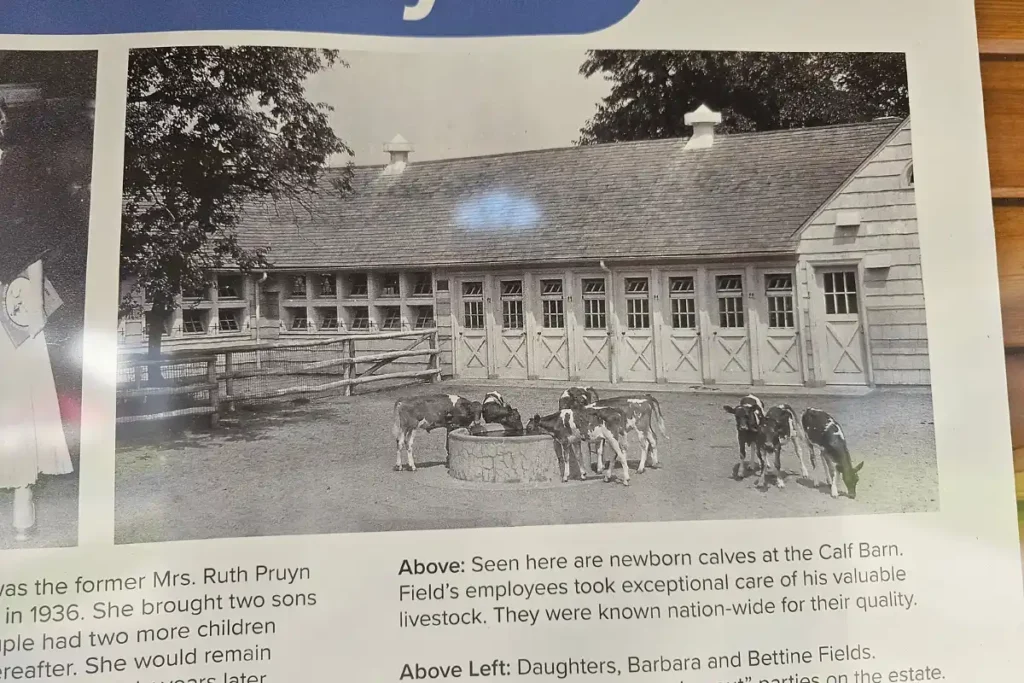 The Walled Garden At Caumsett State Park 3 Historic photograph of the Caumsett dairy farm when it was part of the Marshall Field estate.