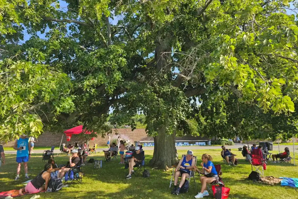 The Walled Garden At Caumsett State Park 2 Runners gathering beneath mature linden trees before the NY State Summer Run Series at Caumsett State Park.