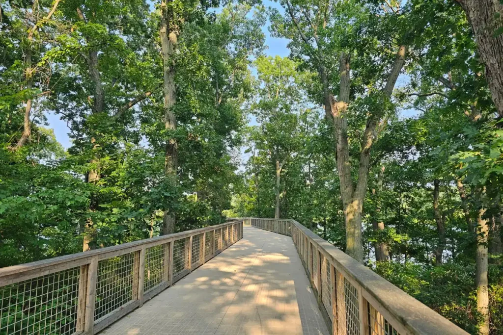 Elevated boardwalk leading through the trees to the kayak launch at Hempstead Lake State Park.