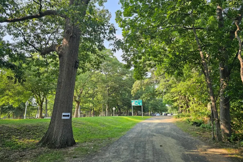 Wide trail through restored woodland at Hempstead Lake State Park with sunlight reaching the forest floor.