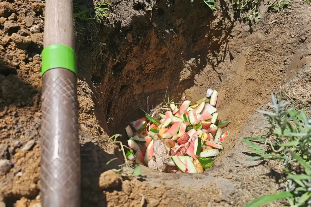 The Hive 11 Deep trench in a backyard garden filled with watermelon rinds and potatoes for trench composting to improve healthy soil.