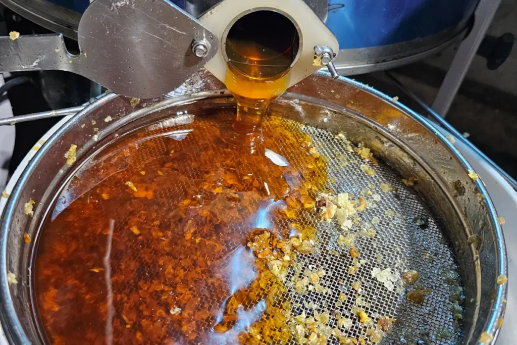 Thick fall honey slowly flowing from the extractor after harvest