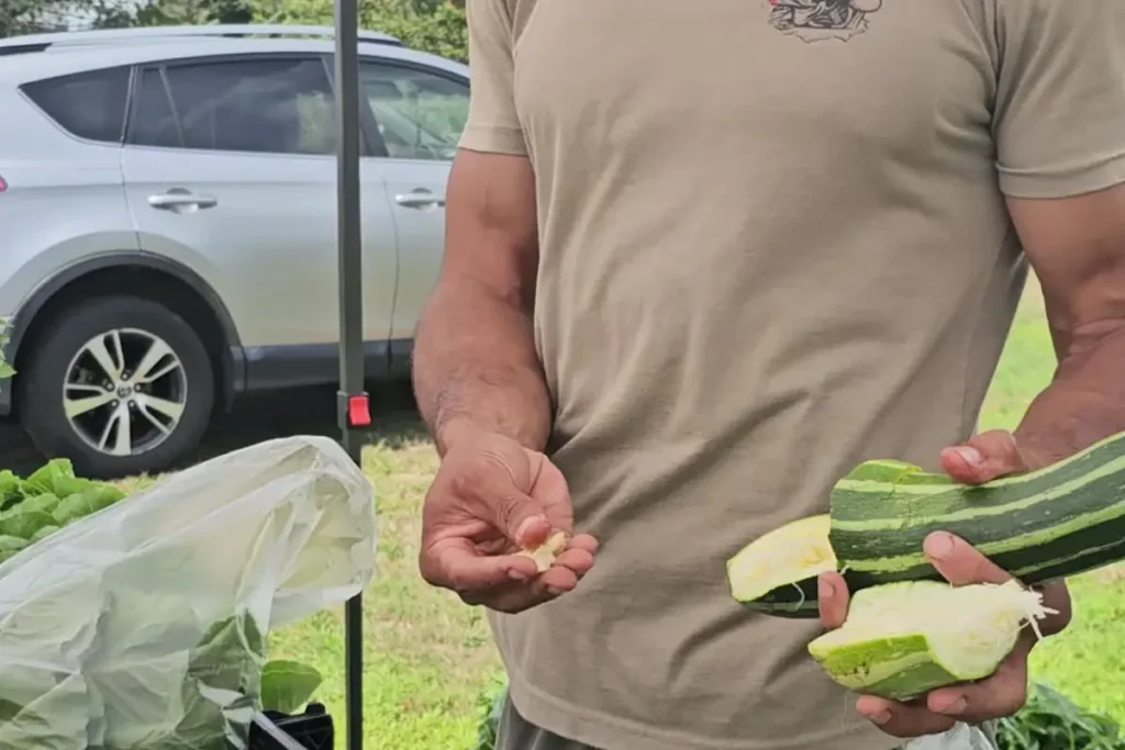 ayson from Two Brothers Farm cuts open a striped zucchini to demonstrate how mature seeds develop as the vegetable ripens.