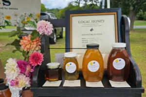 The Hive 1 saving dahlia seeds, seen here next to a display of Backyard Bees at the CCE farmers market