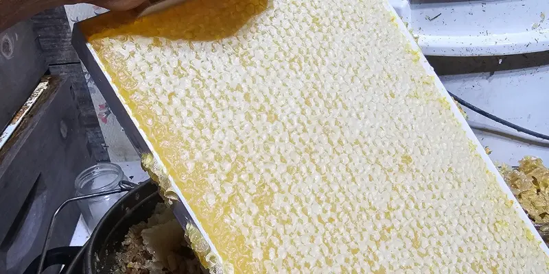 tea and honey